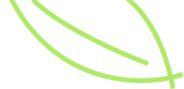 /_next/static/media/leaf.2a1e054c.png